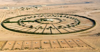 King Khaled Wildlife Research Centre, Al Thumamah Airport, Ath Thumamah, Saudi Arabia 099 