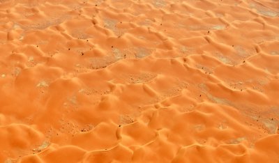 Waves on sand dunes, Thumamah National Park, Riyadh Region, Saudi Arabia 158  