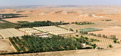 Dates and Vegetables Farm in Thadiq Saudi Arabia 1146