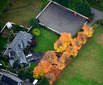 Fall colors in driveway, Cottage Lake, Washington 051