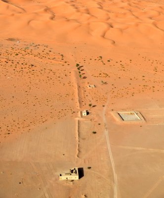 Raising Camels in desert and sand dunes, Riyadh Region, Saudi Arabia 1522 