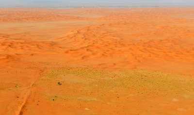 Little green space along sand dunes, rawdat Alhoabjah,  Al Ghurabah Saudi Arabia 1623 