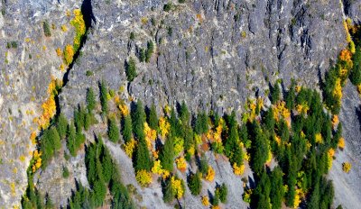 Fall colors along Rainbow Mountain, Lake Chelan, Stehekin, Washington 708