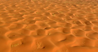 Tracks in sea of sand dunes, Riyadh Region, Saudi Arabia 1742  