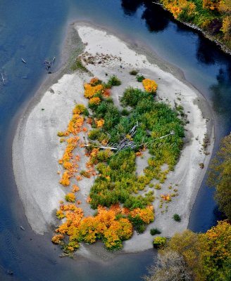 Fall Colors on sand bar in Snoqualmie River, Fall City, Washington 218