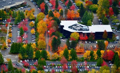 Fall Foliage at business park, Bellevue, Washington 025