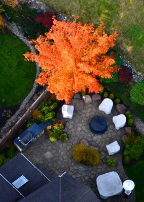 Cozy Backyard, Washington 126