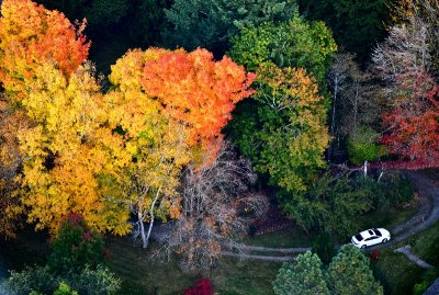 Peaceful and Colorful driveway, Washington 186