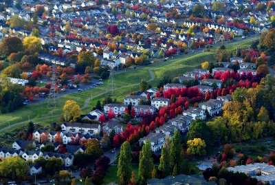 New Holly Park, Chief Sealth Trail, Rainier Valley, Seattle, Washington 063
