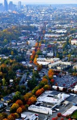 Rainier Avenue in the autumn, Rainier Valley, Seattle Washington 071