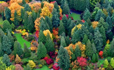 Washington Park Arboretum, Pacific Connections Gardens, Lake Washington Blvd, Seattle, Washington 410