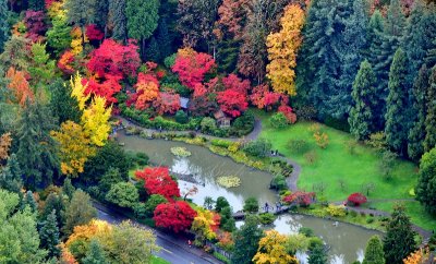 Seattle Japanese Garden, Washington Park Arboretum UW Botanic Gardens, Seattle, Washington 463