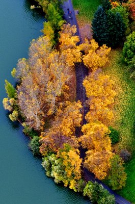 Fall Foliage over Green Lake Trail, Geen Lake, Seattle, Washington 720