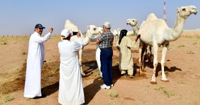 Salman and camel herder, Al Ghat Saudi Arabia 650 