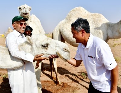 Kissing Camel at Salman's farm 663