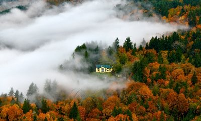 Yellow house in colorful forest, Duvall, Washington 053