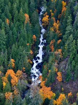 Olney Falls, Olney Creek, Startup, Washington 259