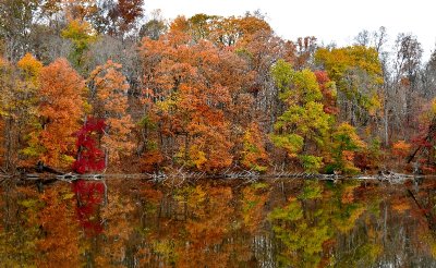 Wallkill Lake and Reflection of Fall Foliage, Wallkill, New York 155