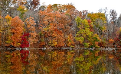 Wallkill Lake and Reflection of Fall Foliage, Wallkill, New York 155  