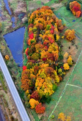 Autumn colors along Highway 2, Sultan, Washington 149