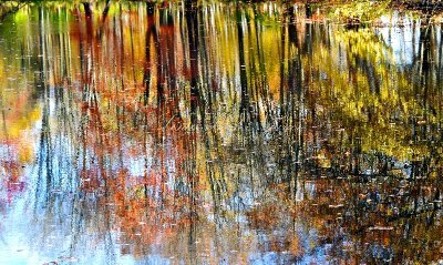 Fall foliage reflection lake Swarte Kill, New Paltz, New York 448