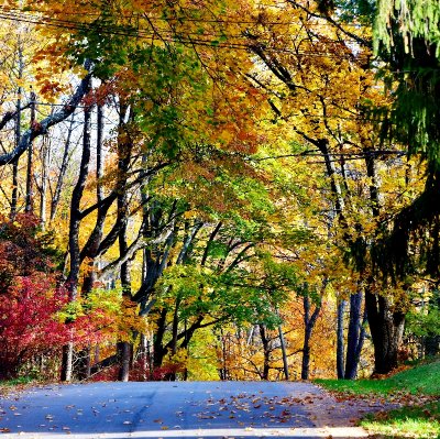 Millrock Road in autumn, New Paltz New York 302