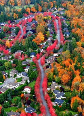 Manion Way NE and 277th Ave NE, Duvall, Washington 038