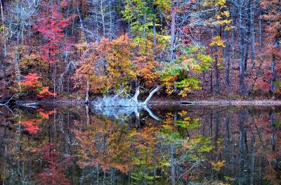 Wallkill Lake and Reflection of Fall Foliage, Wallkill, New York 141