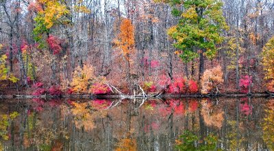 Wallkill Lake and Reflection of Fall Foliage, Wallkill, New York 235  