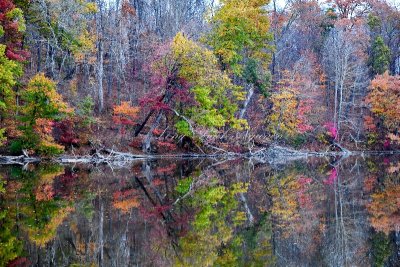 Wallkill Lake and Reflection of Fall Foliage, Wallkill, New York 165a 