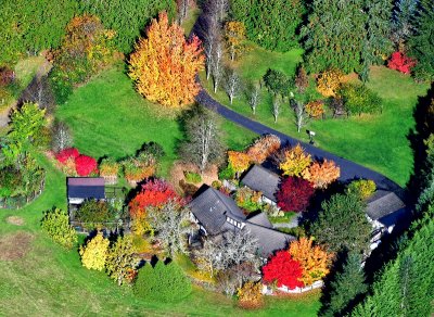 Colorful garden and yard, Snoqualmie Ridge, Washington 178