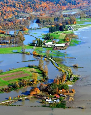 River Run Ranch, Stillwater Natural Area, Snoqualmie River, Stuart, Washington 717b