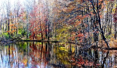 Fall foliage reflection lake Swarte Kill, New Paltz, New York 428