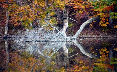 Perfect Reflection of Fall Colors on Wallkill Lake, New York 148