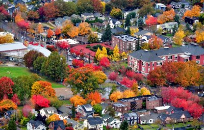Central District in the fall, Seattle, Washington 376