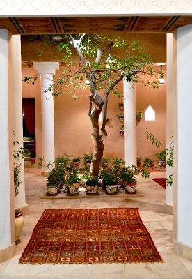 Tree in small courtyard, Riyadh, Saudi Arabia 411