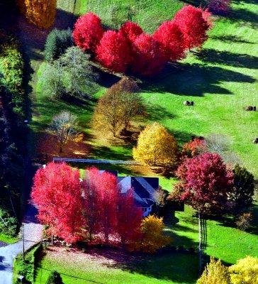 Autumn colors in Snoqualmie River Valley, Fall City, Washington 154