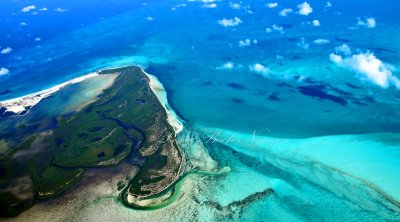 Bimini, Bimini Bay, The Bahaminian Coral Reef 630 