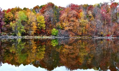 Wallkill Lake and Reflection of Fall Foliage, Wallkill, New York 138 