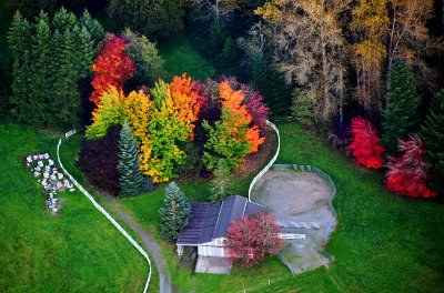 Barn and stable in the falll, Fall City, Washington 164