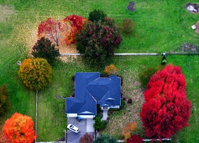 Fall Colors around the yard, Washington 181