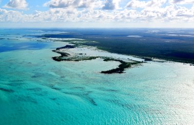 Mastic Cay, Crab Replenishment Reserve, Andros Great Barrier Reef, The Tongue of The Ocean, The Bahamas 359 