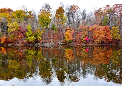 Wallkill Lake and Reflection of Fall Foliage, Wallkill, New York 228  