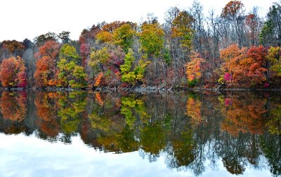 Wallkill Lake and Reflection of Fall Foliage, Wallkill, New York 255 