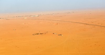 Bedouin Camel Herder camp in Saudi Desert, Attanhaat Station,  Riyadh Region, Hafr Al Atk Saudi Arabia 228 