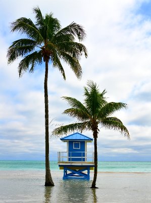 Lifeguard Station in Hollywood Florida 445a 