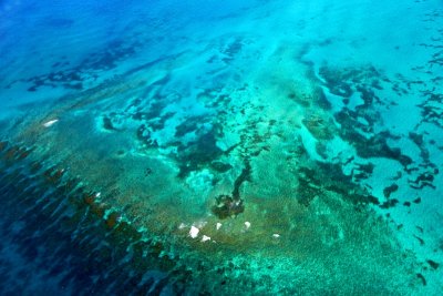 Looe Key, Hawk Channel, Straits of Florida, Florida Keys, Florida 1146   