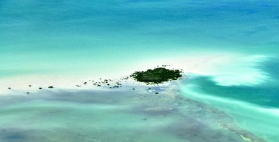 Little Island on Cross Bank, Florida Bay, Florida Keys, Florida 221  