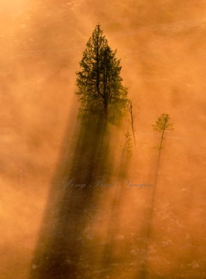 Grandma and Grandkids at Sunset, Cumberland, Washington 241 