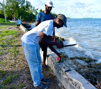 Sydney and Son, Sydney Conch Shack, Andros Island, The Bahamas 639